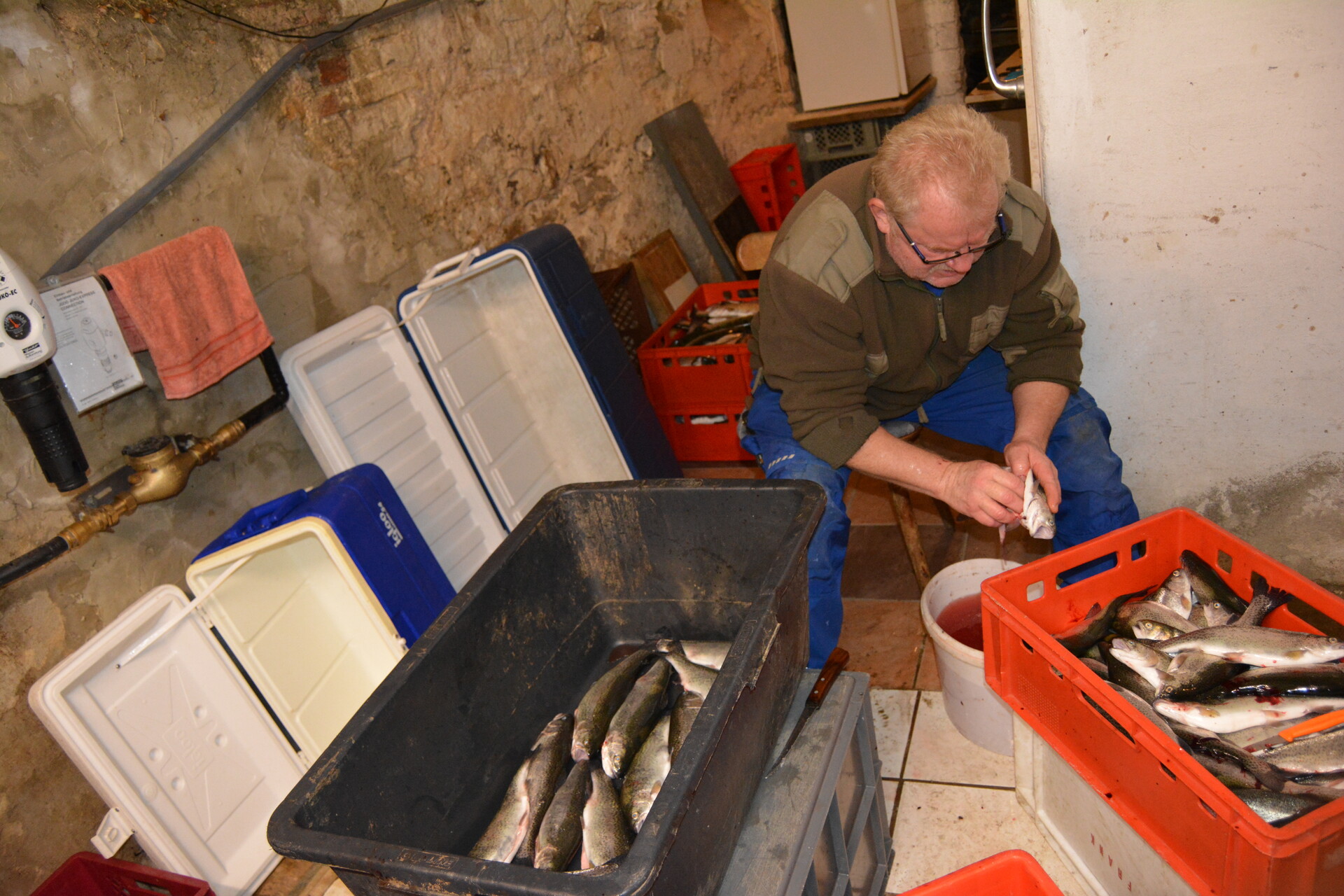 Galeriebild: Fische räuchern 004 1